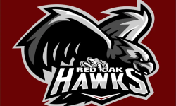 Copy of HAWK